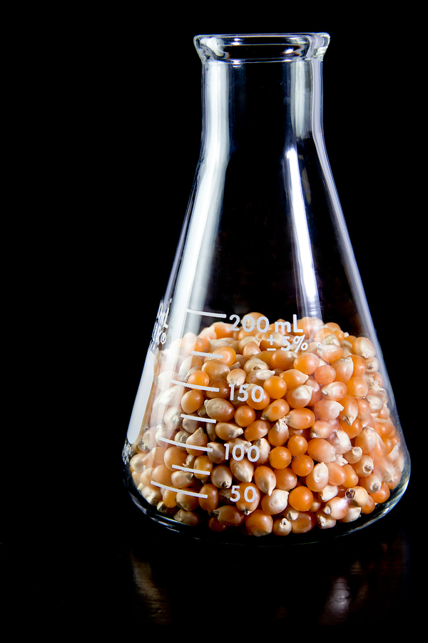 bigstock-Food-Science--corn-39518587