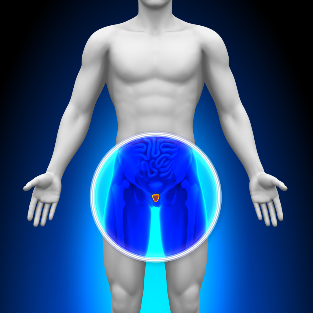 bigstock-Medical-X-Ray-Scan--Prostate-47708338