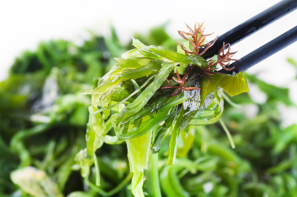 bigstock-Fresh-seaweed-salad-29411774