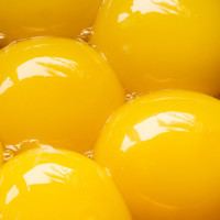 egg-yolks-close-up