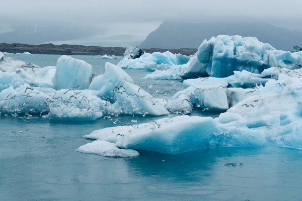 iceberg in frozen water
